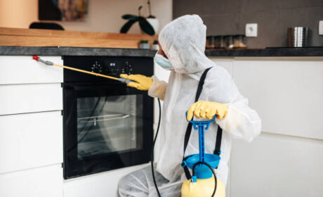 ابادة الابراص