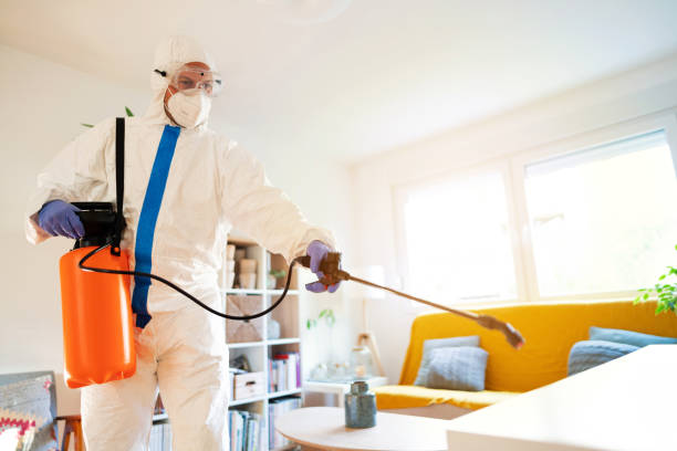 ابادة الحشرات المنزلية