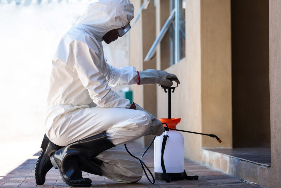 ابادة حشرات المنزل