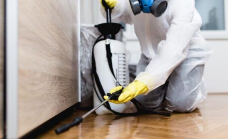 ابادة سوس الخشب