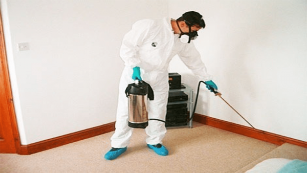 ابادة صراصير