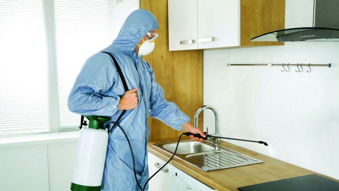 افضل شركة ابادة حشرات