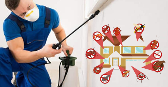 افضل شركة مكافحة الحشرات