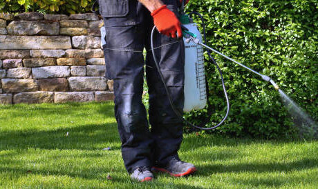 الشركة الألمانية لمكافحة البق