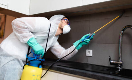 رقم الشركة الألمانية