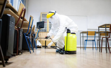 شركة إبادة الصراصير