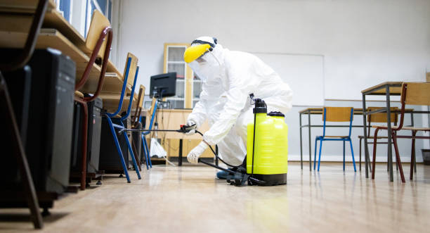 شركة إبادة الصراصير