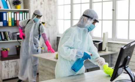 شركة ابادة البراغيث