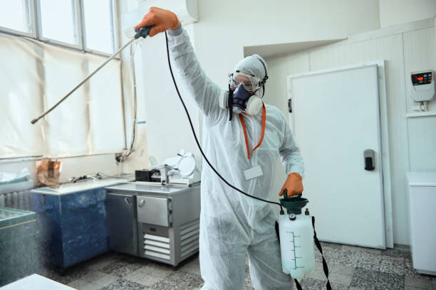 شركة ابادة الفئران