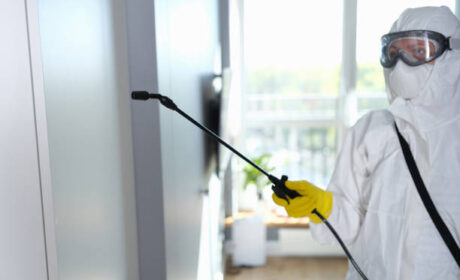 شركة ابادة القوارض