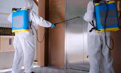 شركة ابادة بق