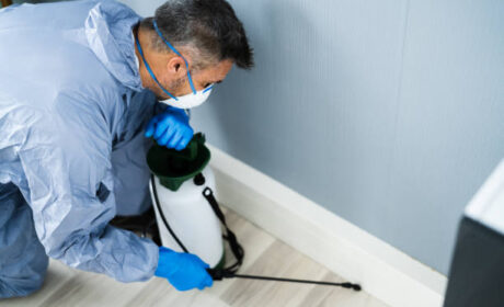 شركة رش الحشرات