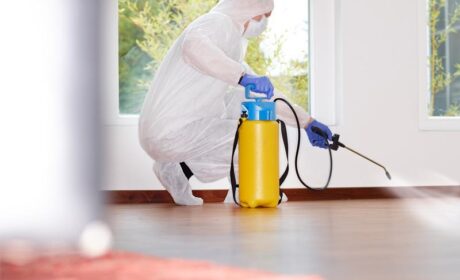 شركة لابادة النمل