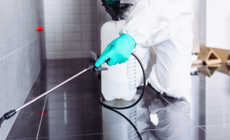 مكافحة الخنافس